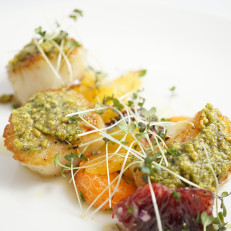 Capasante Tostate ai Pistacchi Roasted Scallops Encrusted in Pistachios Served with Winter Citrus and Smoked Olive Oil